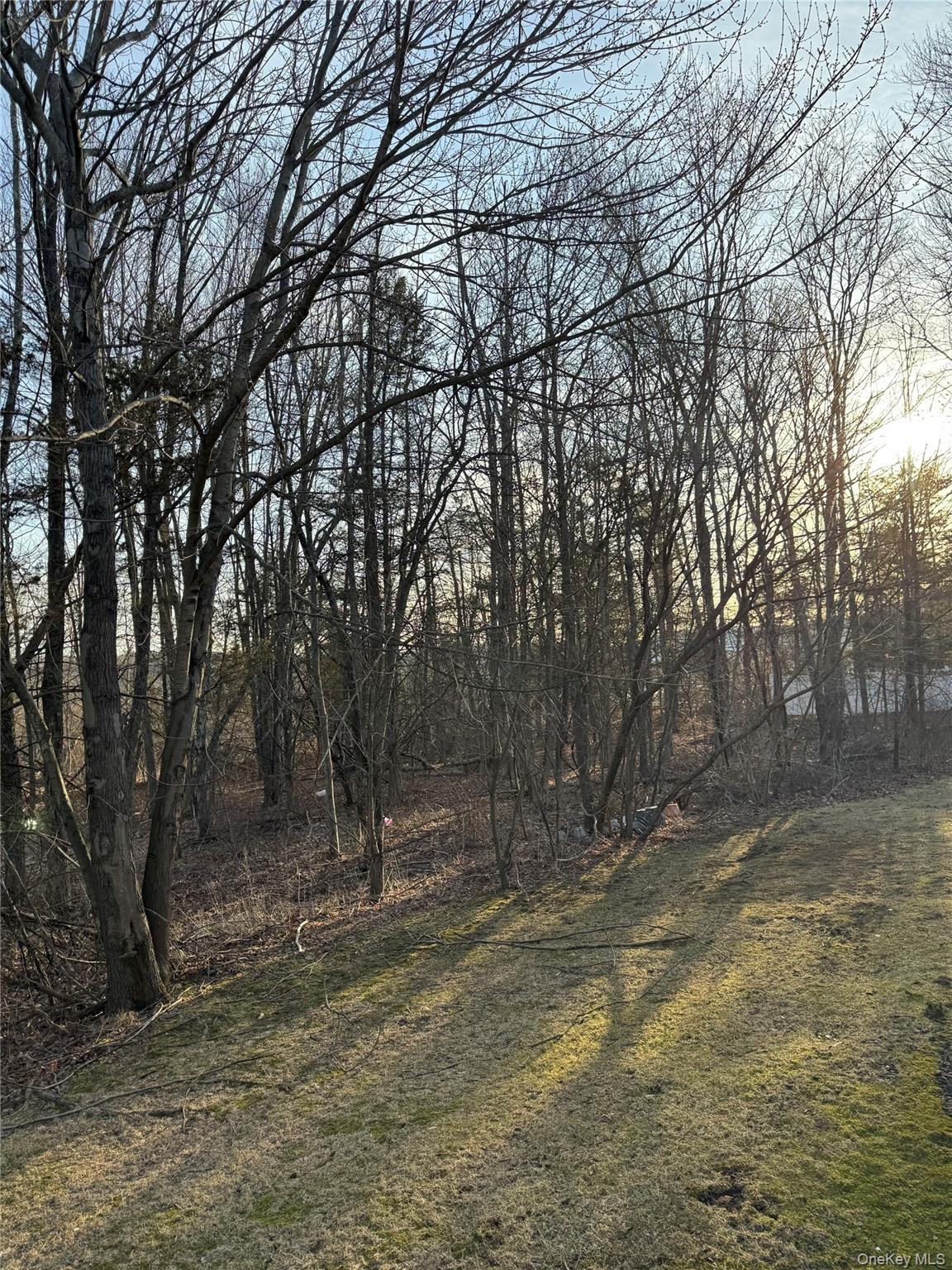 24 Barr Lane # 24, Monroe, NY 10950