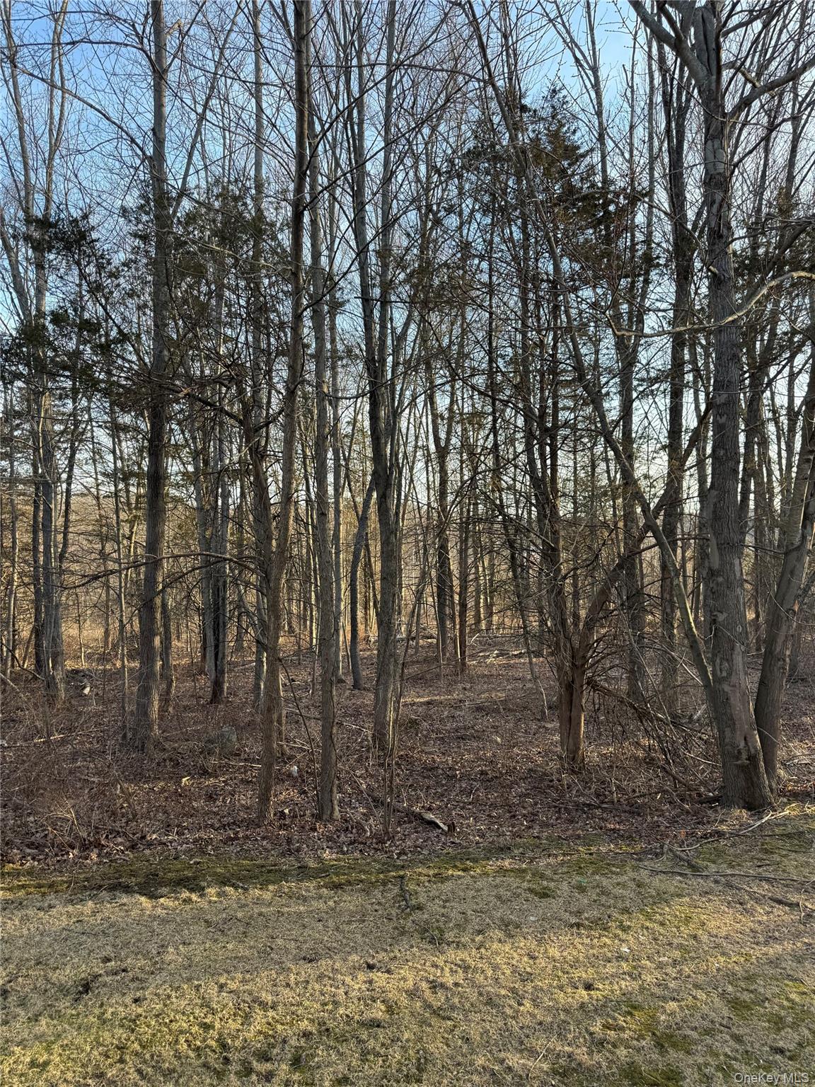 24 Barr Lane # 24, Monroe, NY 10950