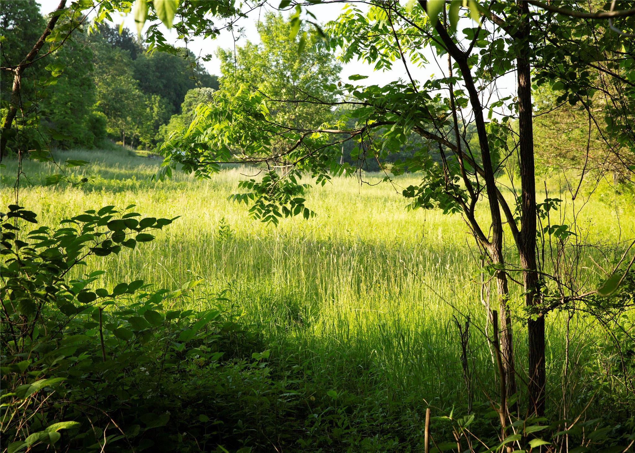 222 Main Street, Germantown, NY 12526