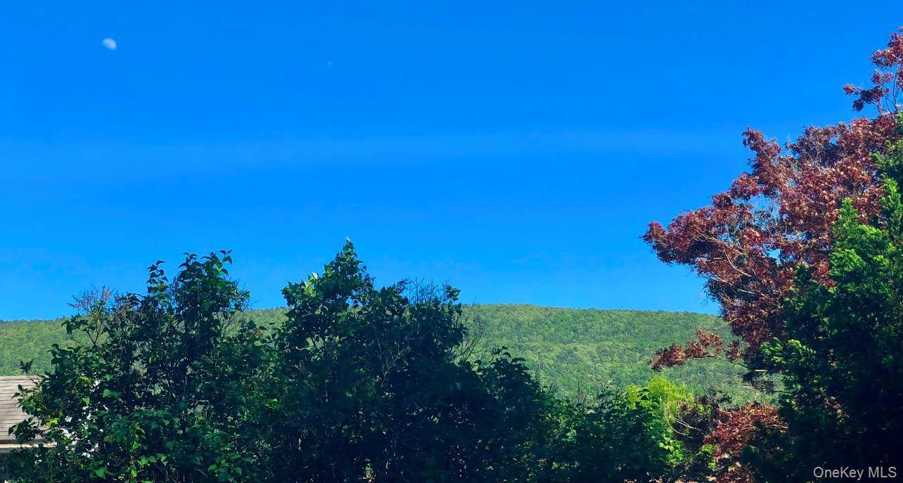 13 Dewitt Street, Ellenville, NY 12428