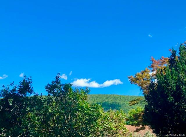 13 Dewitt Street, Ellenville, NY 12428