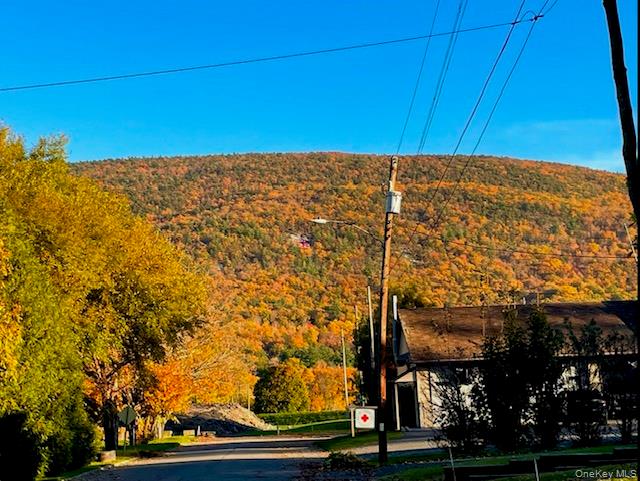 13 Dewitt Street, Ellenville, NY 12428