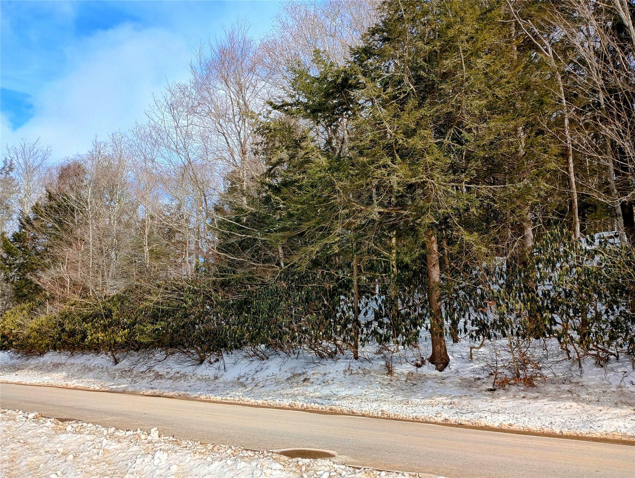 Benton Hollow Road, Neversink, NY 12765