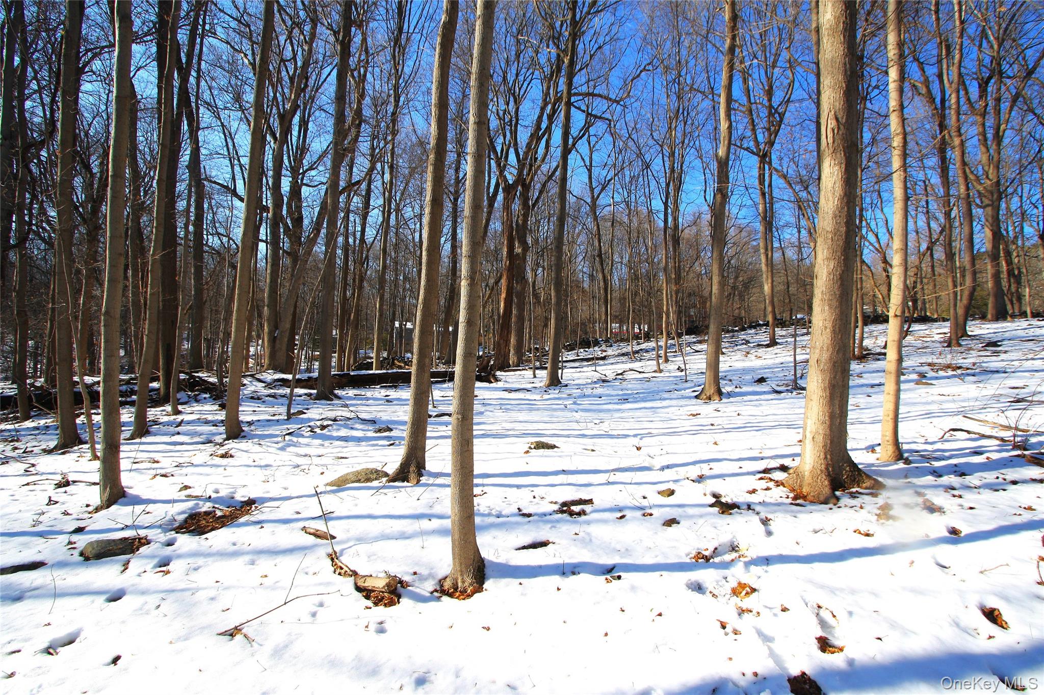 35 Mountain Trail, Croton-on-Hudson, NY 10520