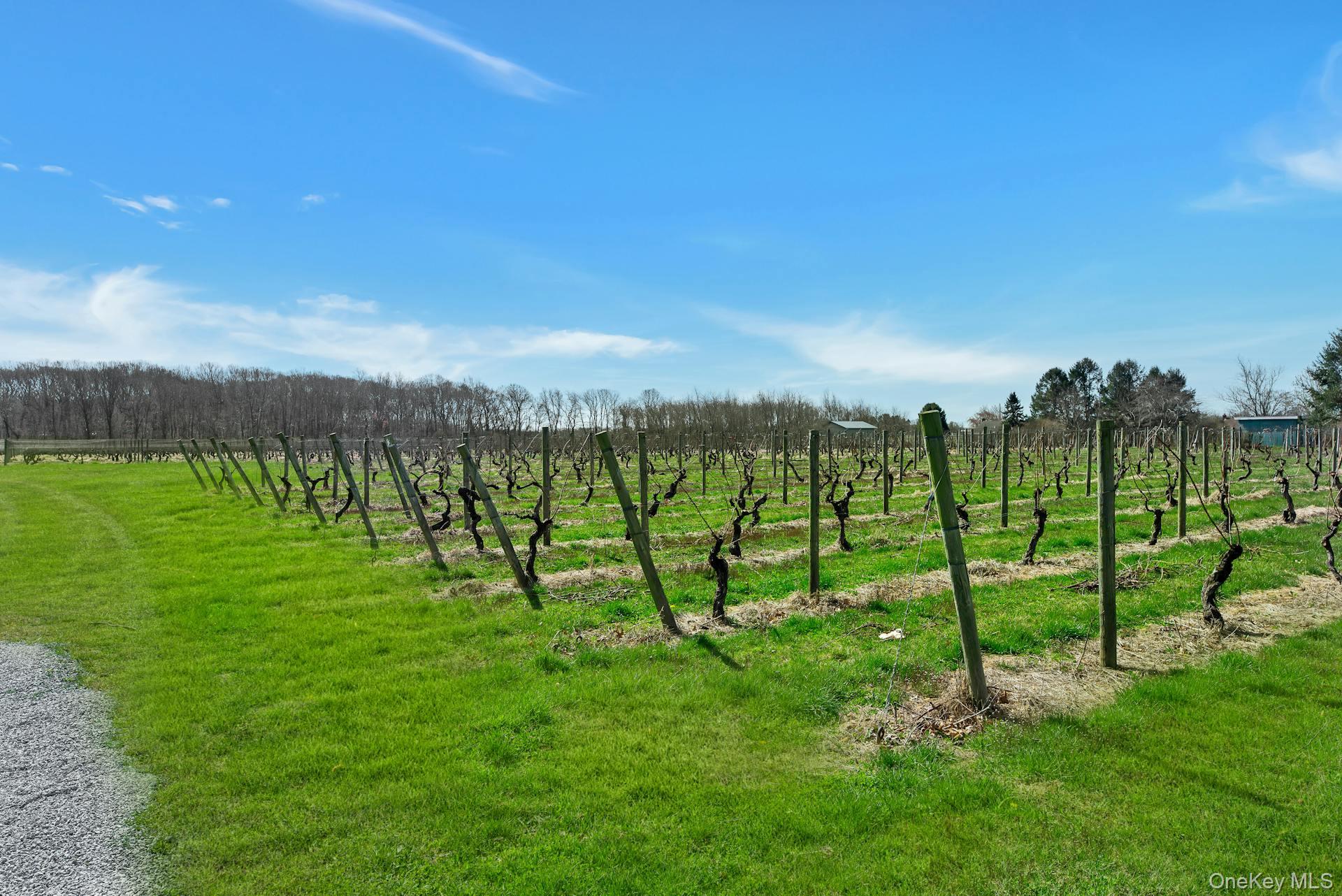 3385 Depot Lane, Cutchogue, NY 11935