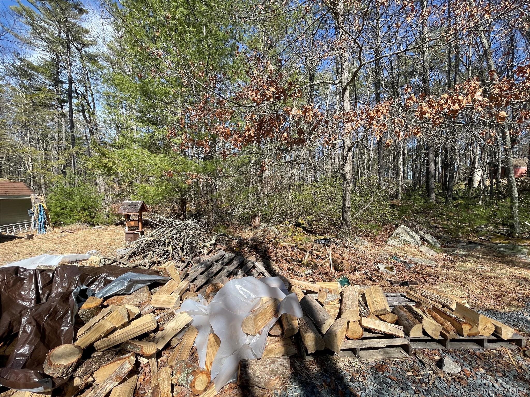 11 Reindeer Terrace, Glen Spey, NY 12737