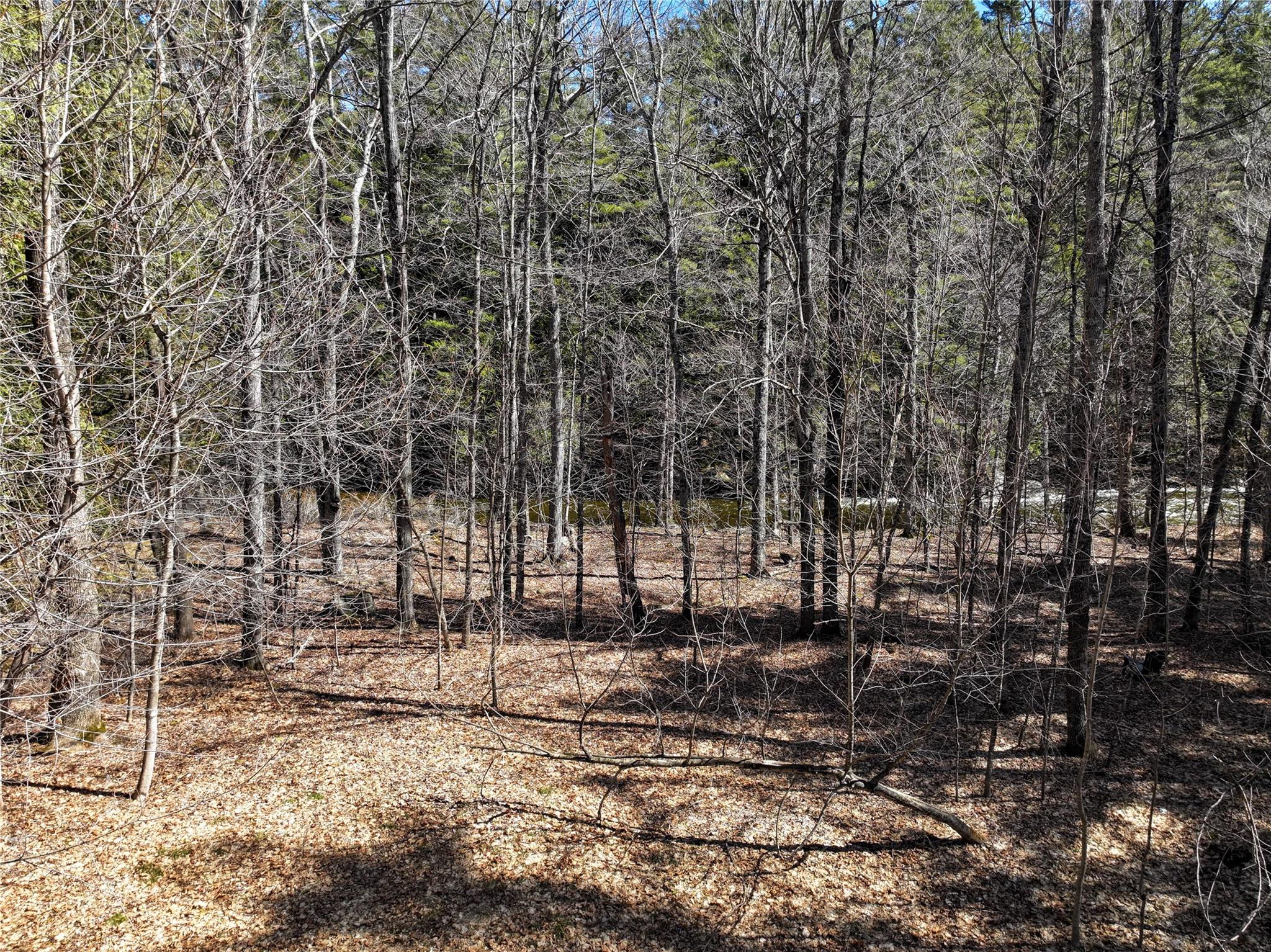 1794 Nys Route 73, Call Listing Agent, NY 12942