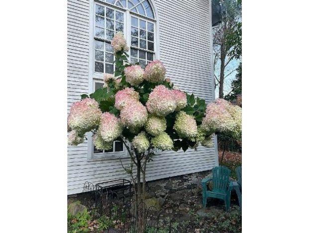 1794 Nys Route 73, Call Listing Agent, NY 12942