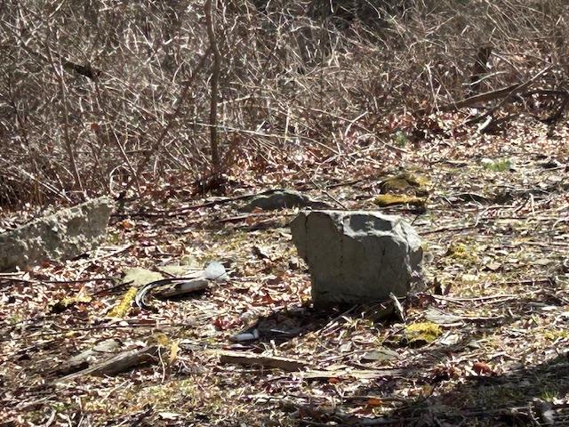 Pressler Road, Wallkill, NY 12589