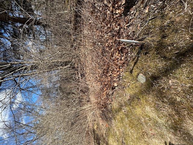 Pressler Road, Wallkill, NY 12589