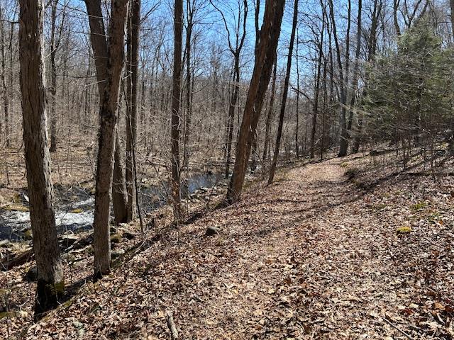 Es Pressler Road, Newburgh, NY 12550