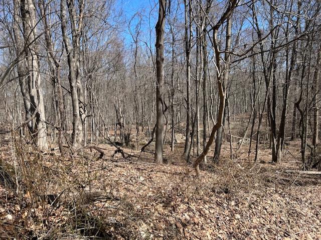 Es Pressler Road, Newburgh, NY 12550