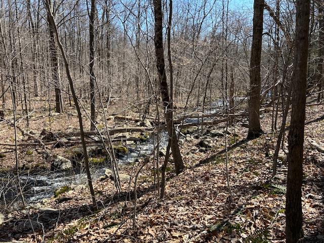 Es Pressler Road, Newburgh, NY 12550