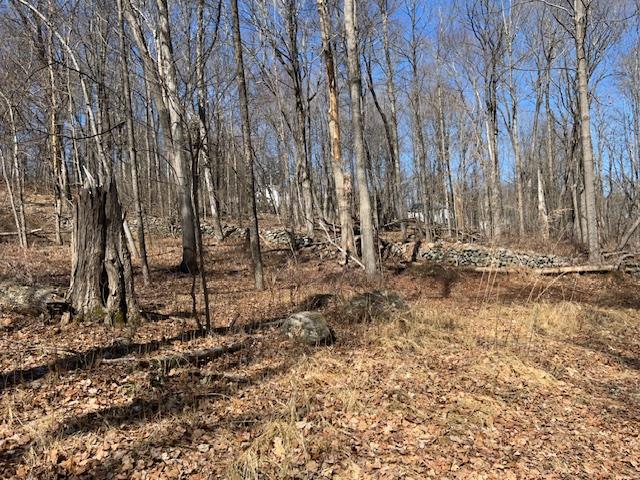 Es Pressler Road, Newburgh, NY 12550