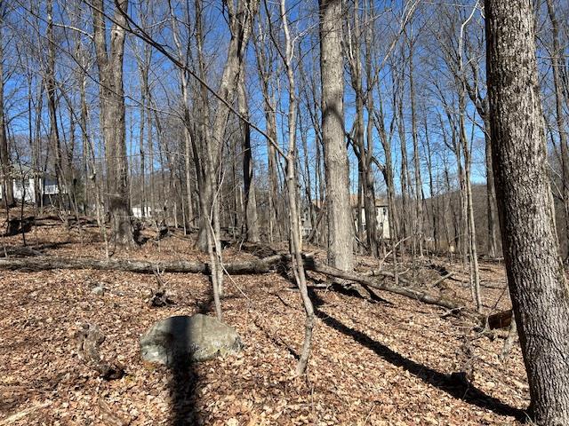 Es Pressler Road, Newburgh, NY 12550