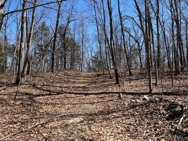 Es Pressler Road, Newburgh, NY 12550