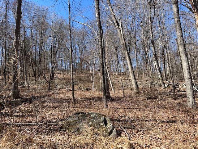 Es Pressler Road, Newburgh, NY 12550