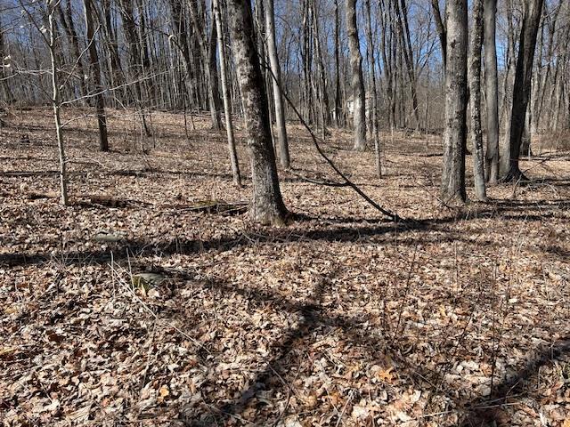 Es Pressler Road, Newburgh, NY 12550