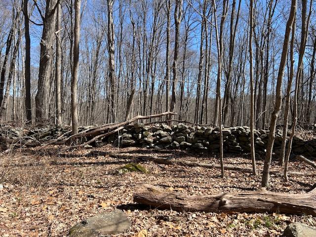 Es Pressler Road, Newburgh, NY 12550