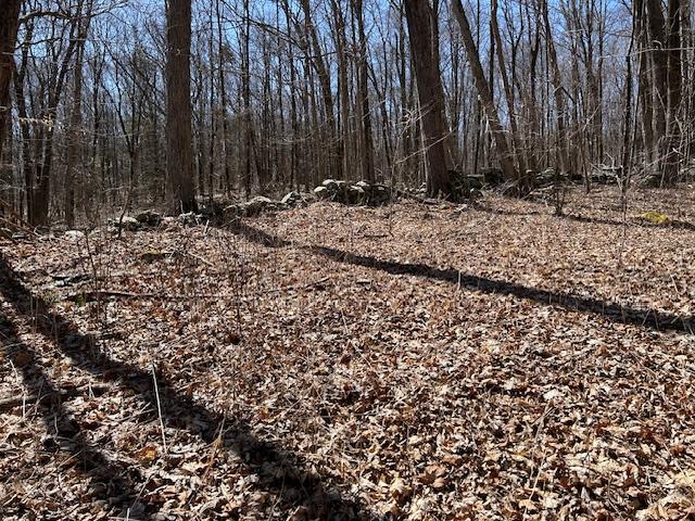 Es Pressler Road, Newburgh, NY 12550