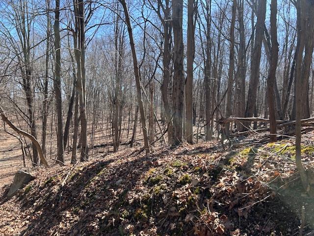 Es Pressler Road, Newburgh, NY 12550