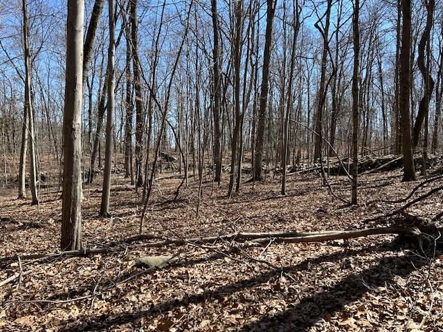 Es Pressler Road, Newburgh, NY 12550