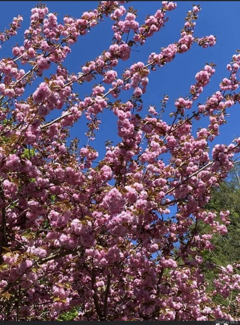 433 Browns Road, Nesconset, NY 11767