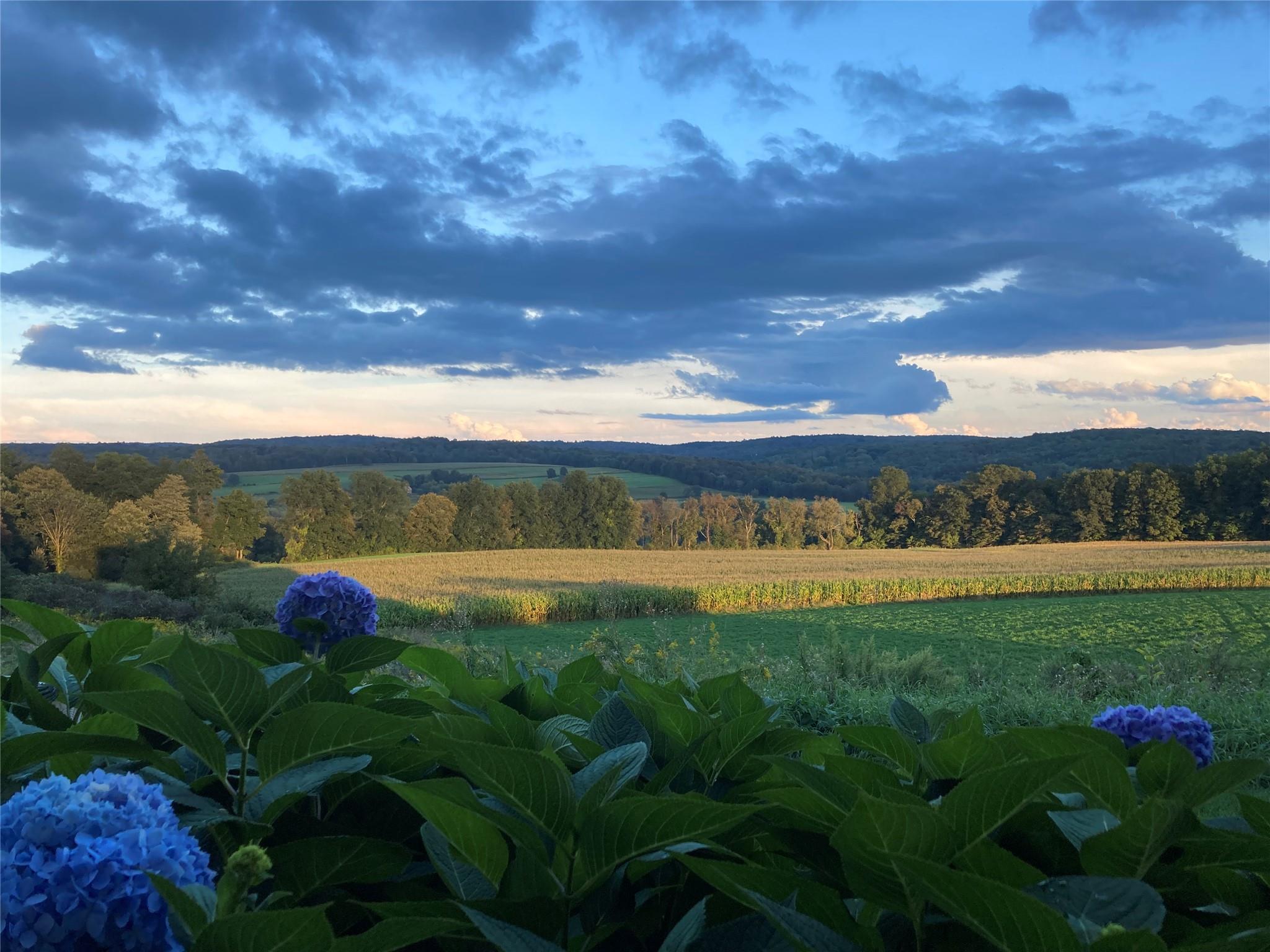 3598 Route 82, Millbrook, NY 12545