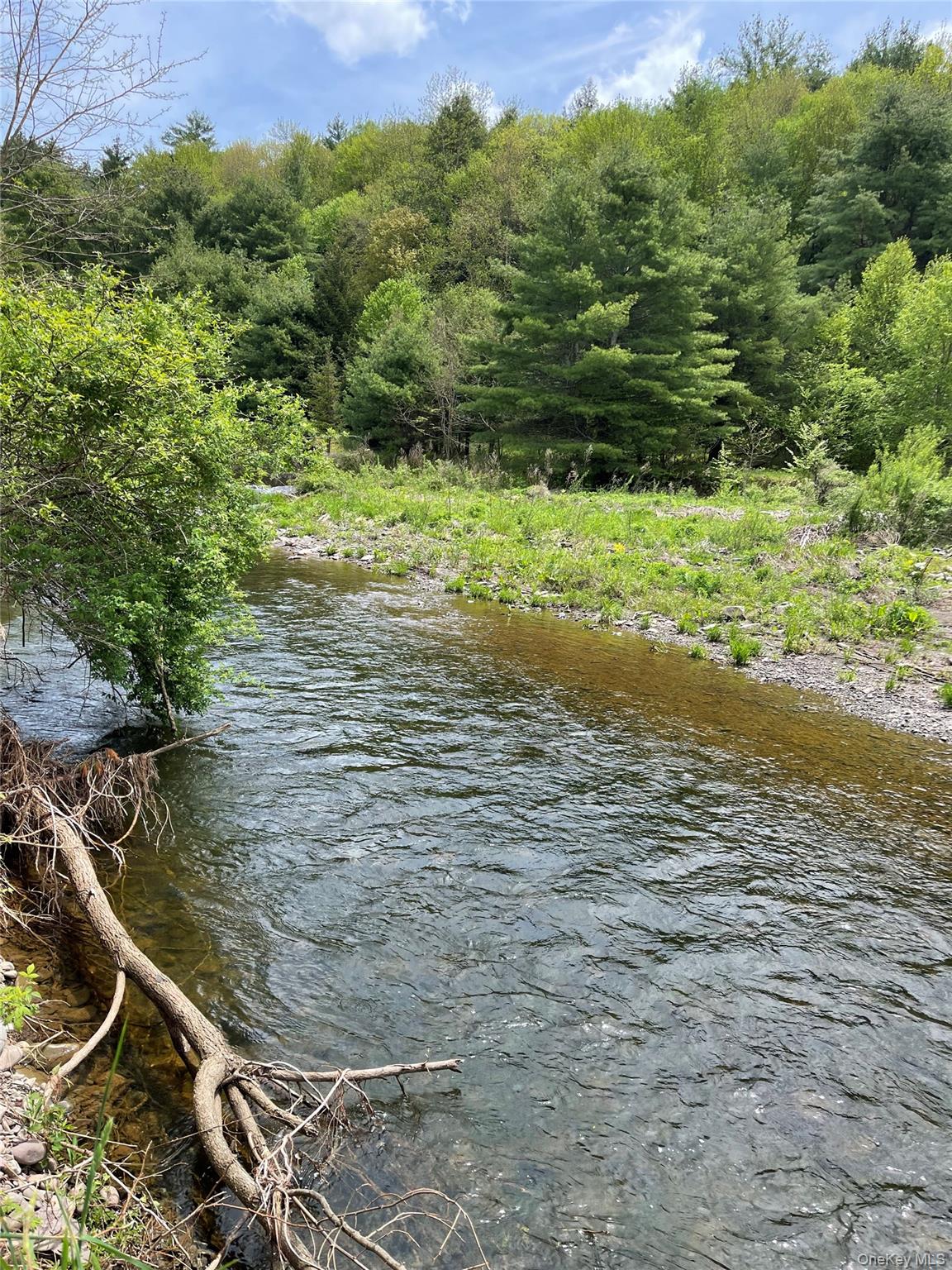 1232 Route 990 V, Gilboa, NY 12076