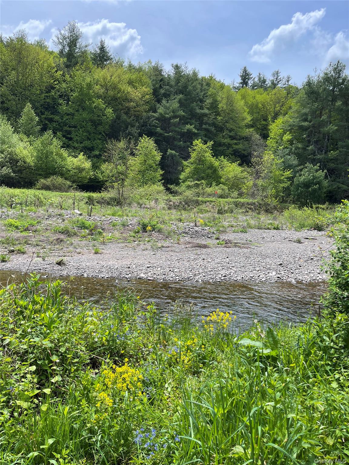 1232 Route 990 V, Gilboa, NY 12076