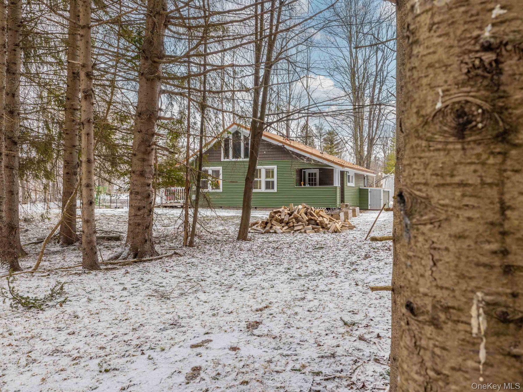 1232 Route 990 V, Gilboa, NY 12076