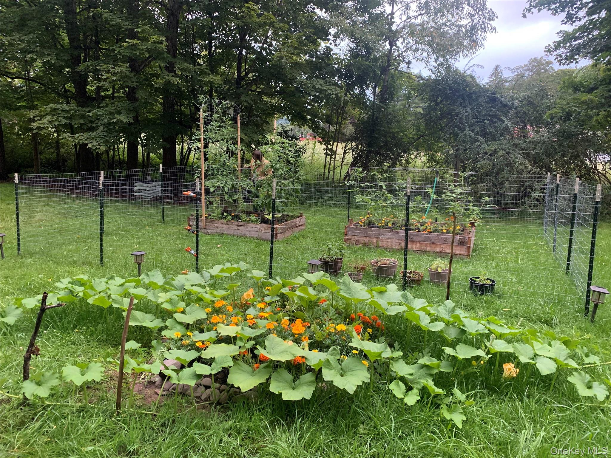 1232 Route 990 V, Gilboa, NY 12076