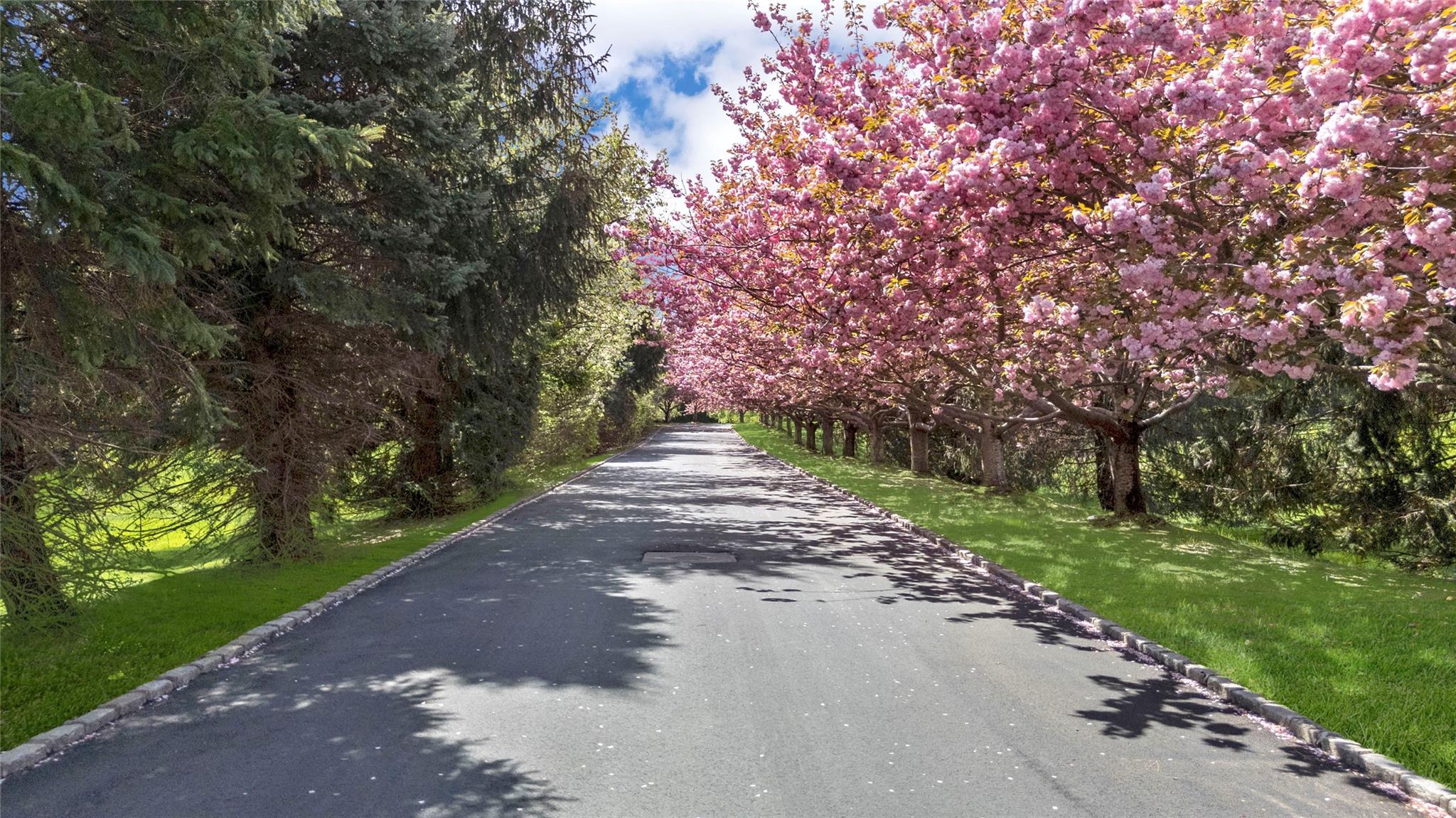 8 Tatem Way, Old Westbury, NY 11568