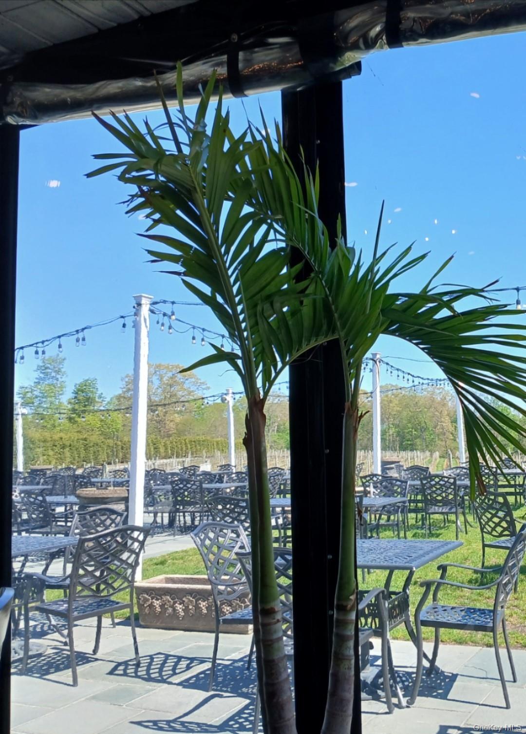 47 Monroe Street, Northport, NY 11768