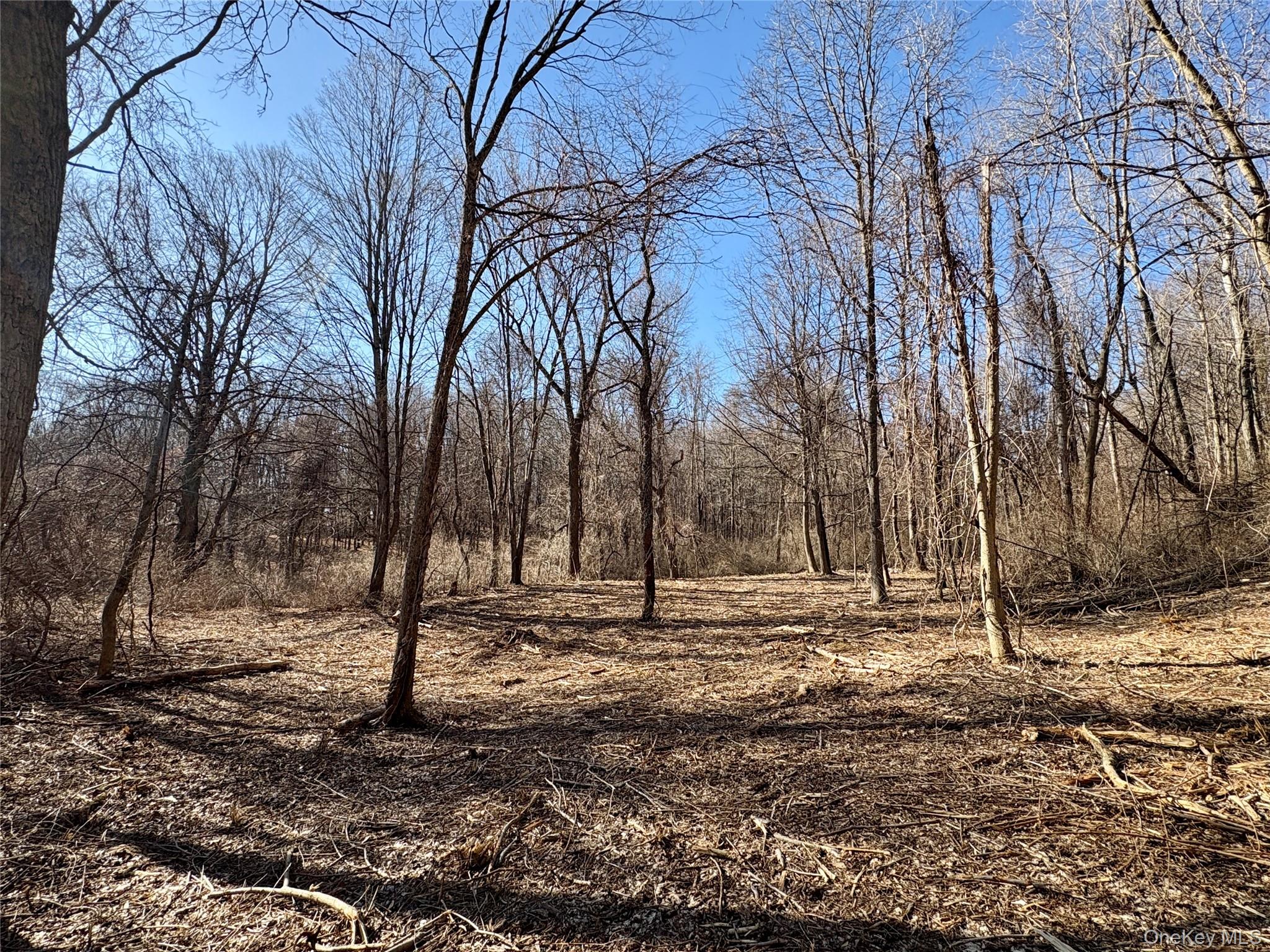 00 Route 7, Copake, NY 12516