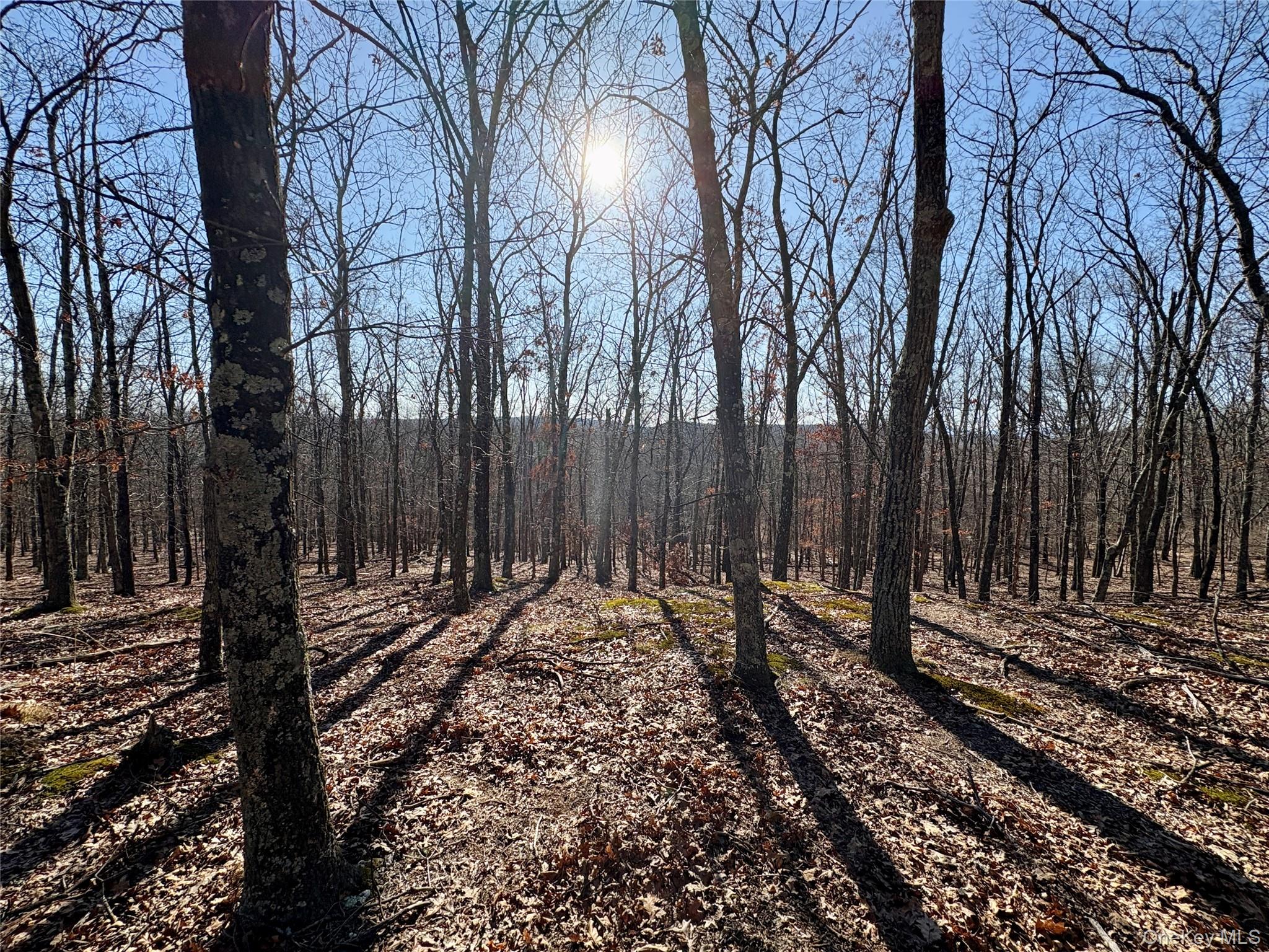 00 Route 7, Copake, NY 12516