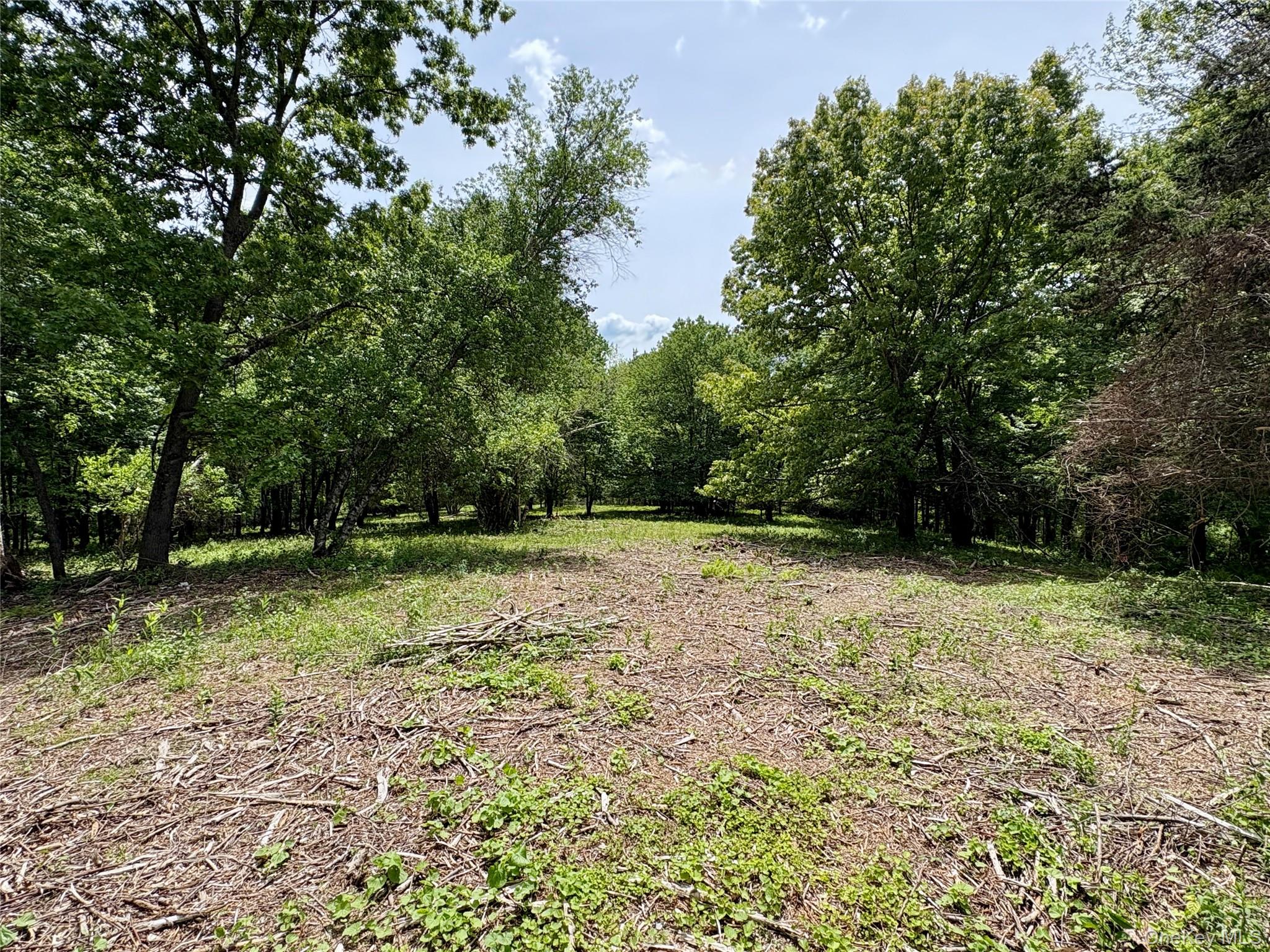 00 Route 7, Copake, NY 12516