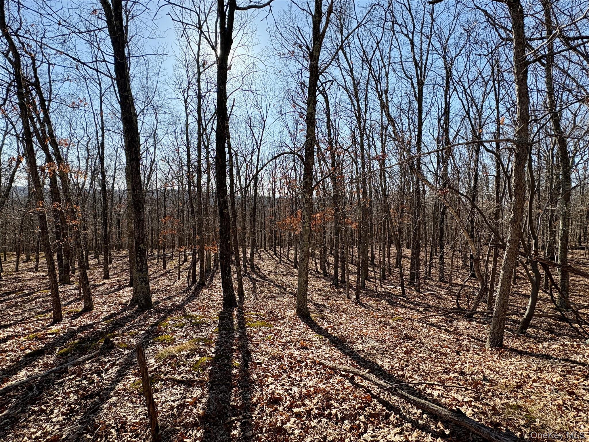 00 Route 7, Copake, NY 12516