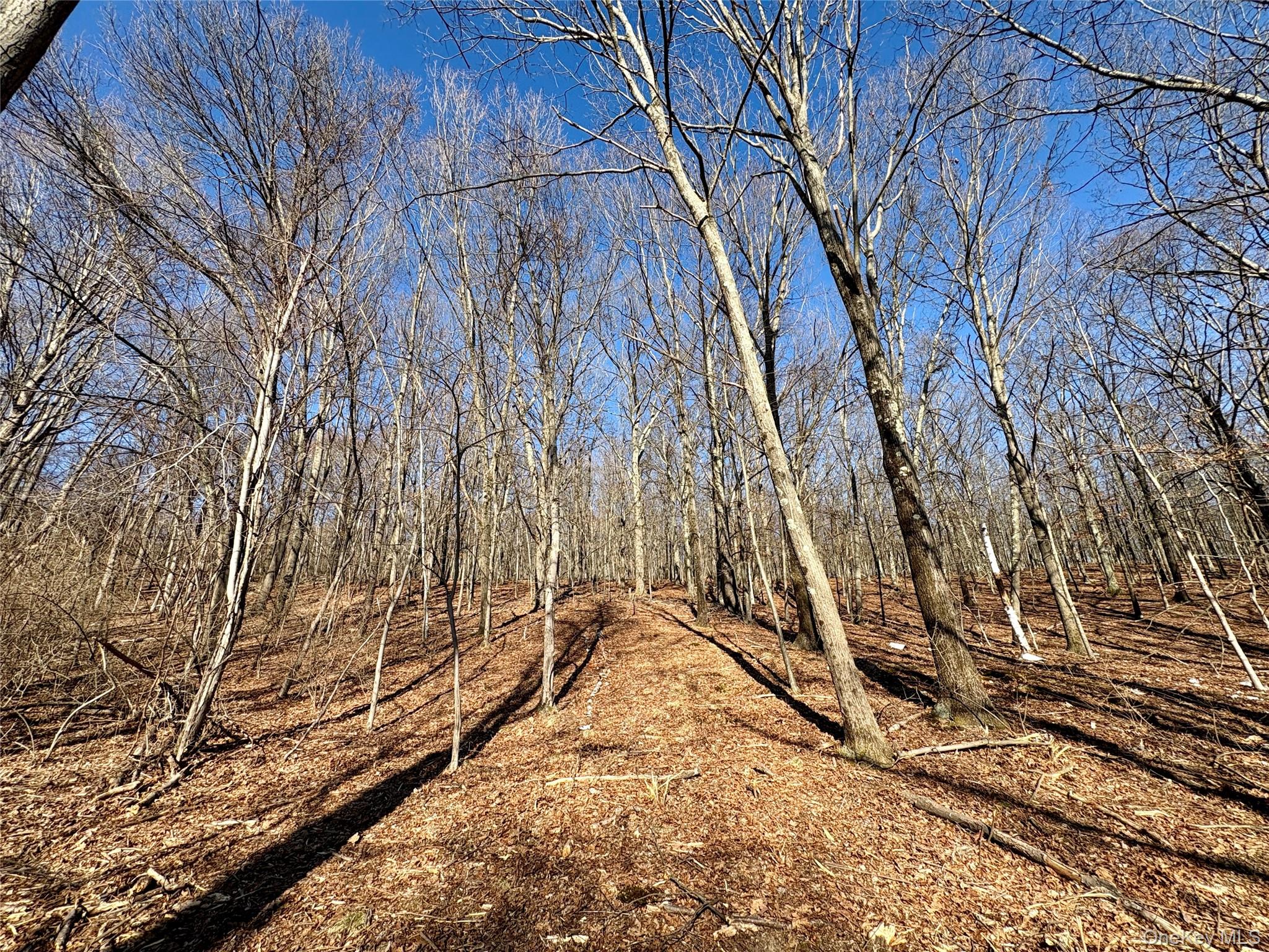 00 Route 7, Copake, NY 12516