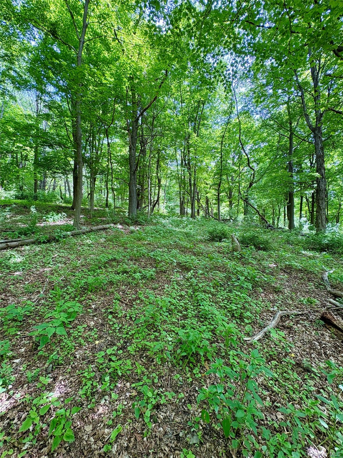 00 Route 7, Copake, NY 12516