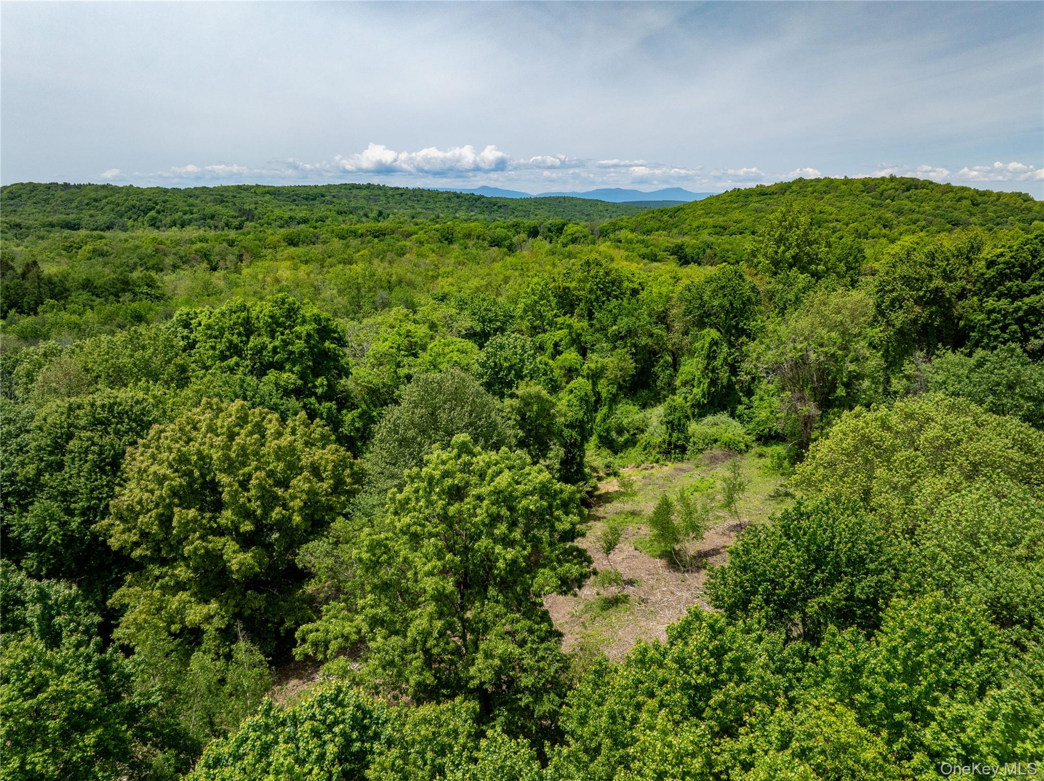 00 Route 7, Copake, NY 12516