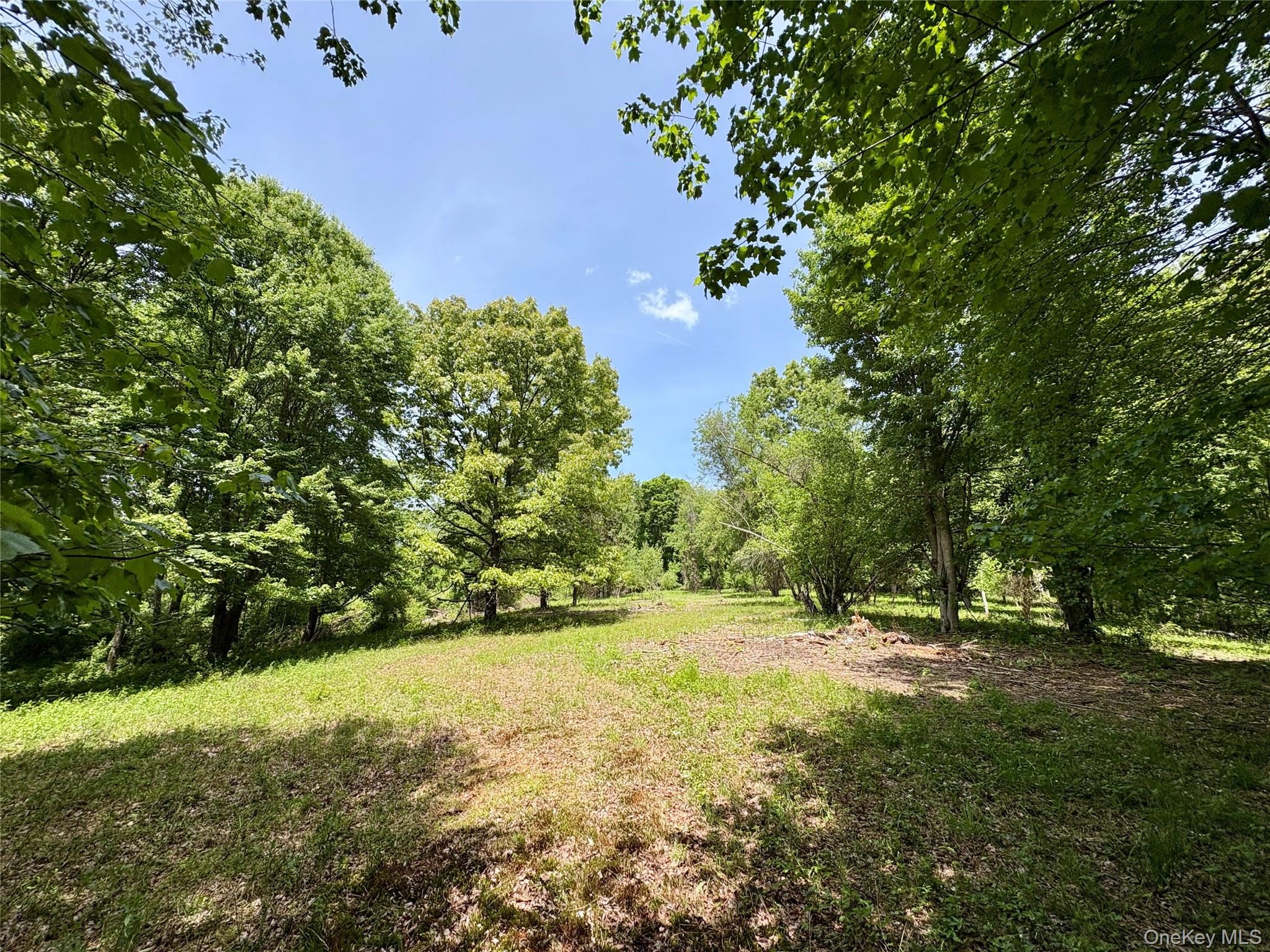 00 Route 7, Copake, NY 12516