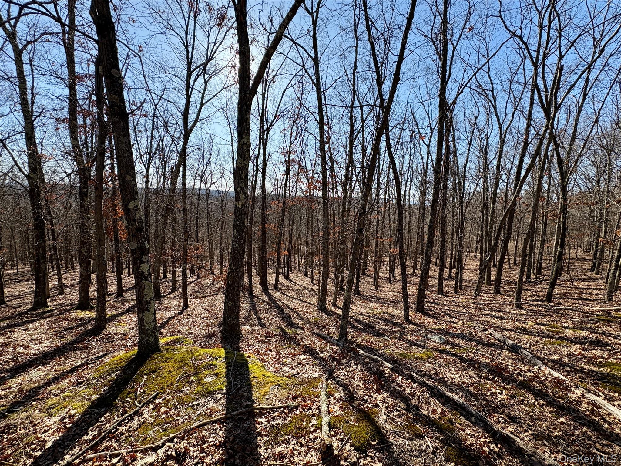 00 Route 7, Copake, NY 12516