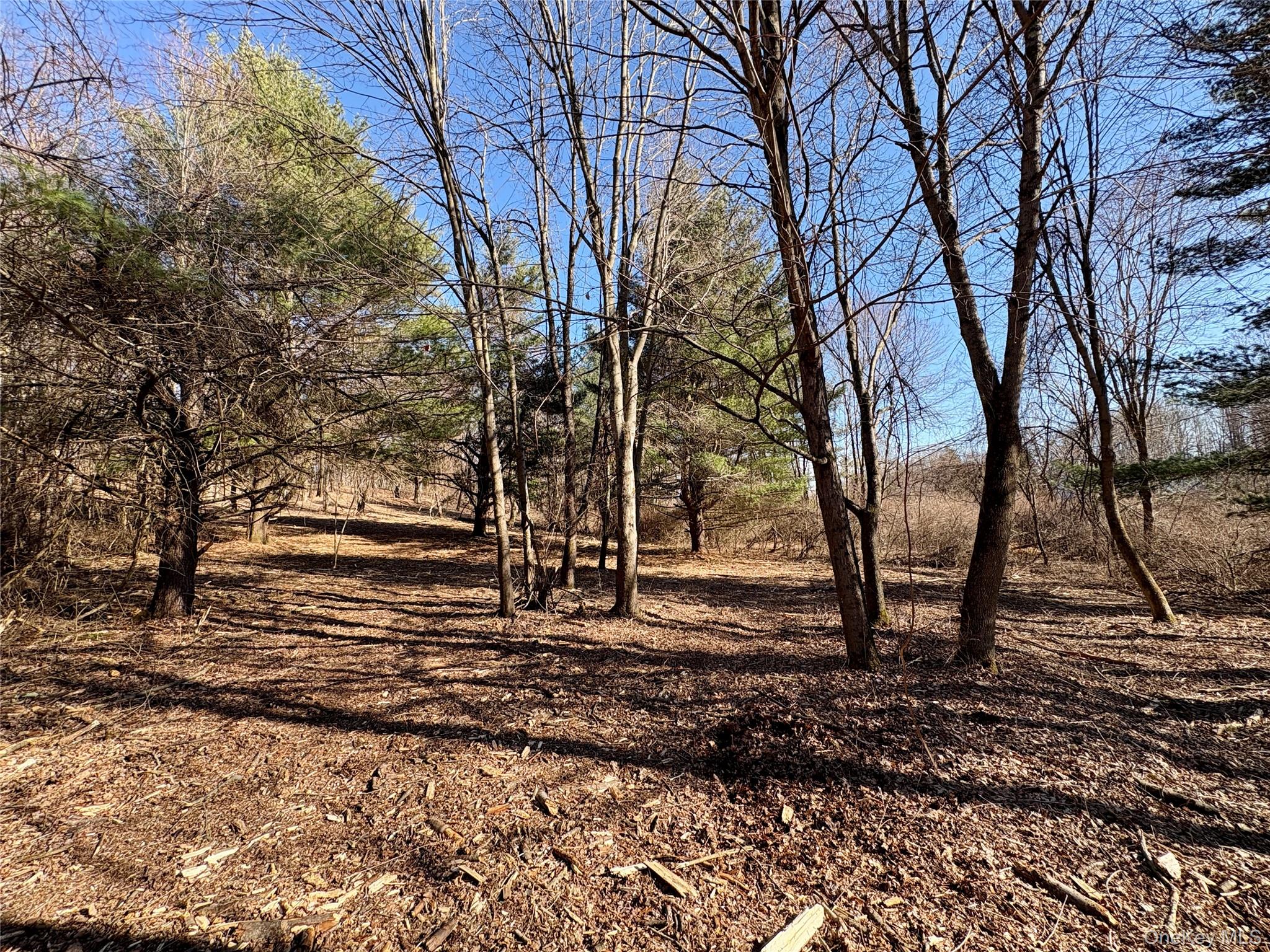 00 Route 7, Copake, NY 12516