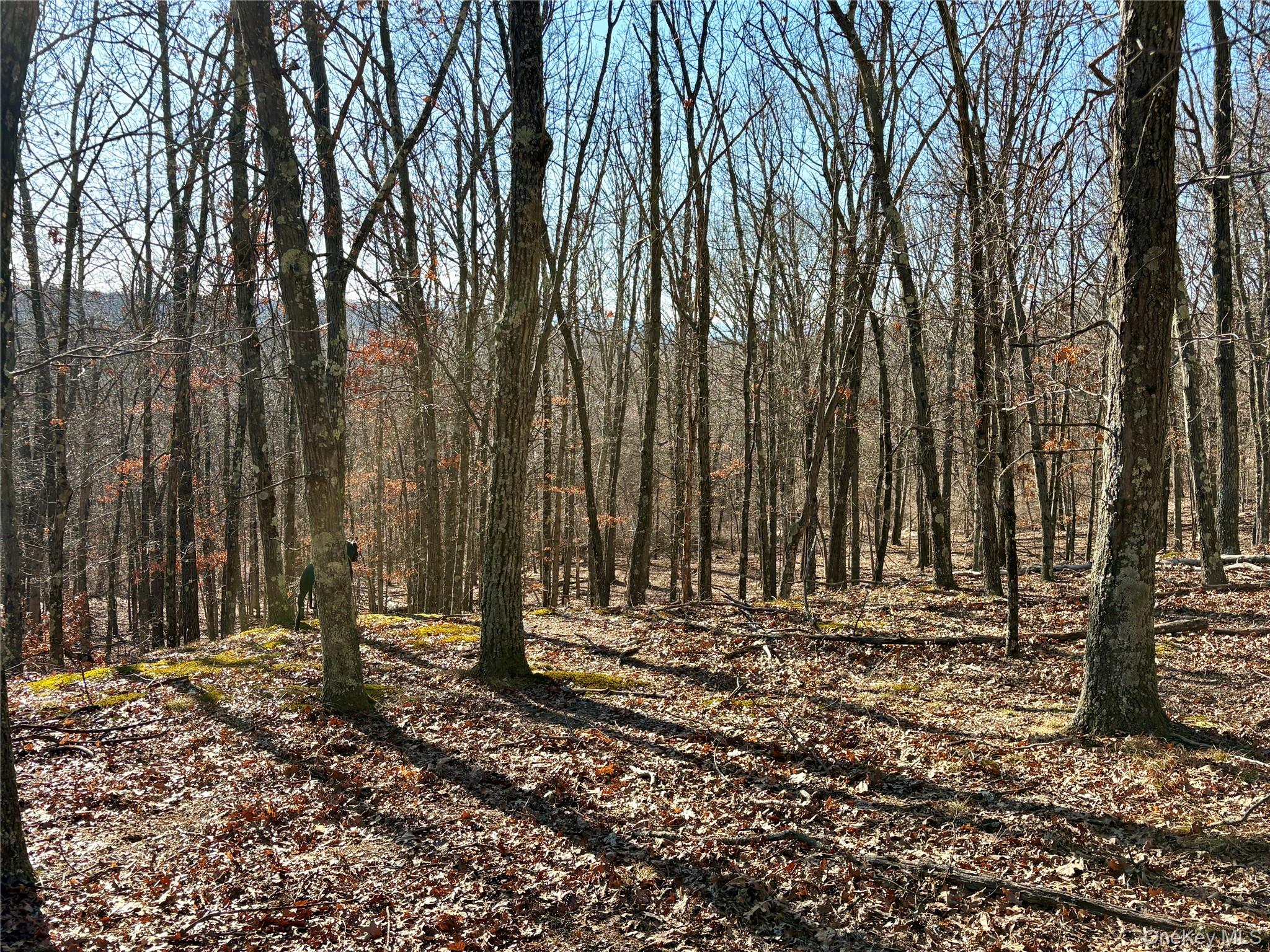 00 Route 7, Copake, NY 12516