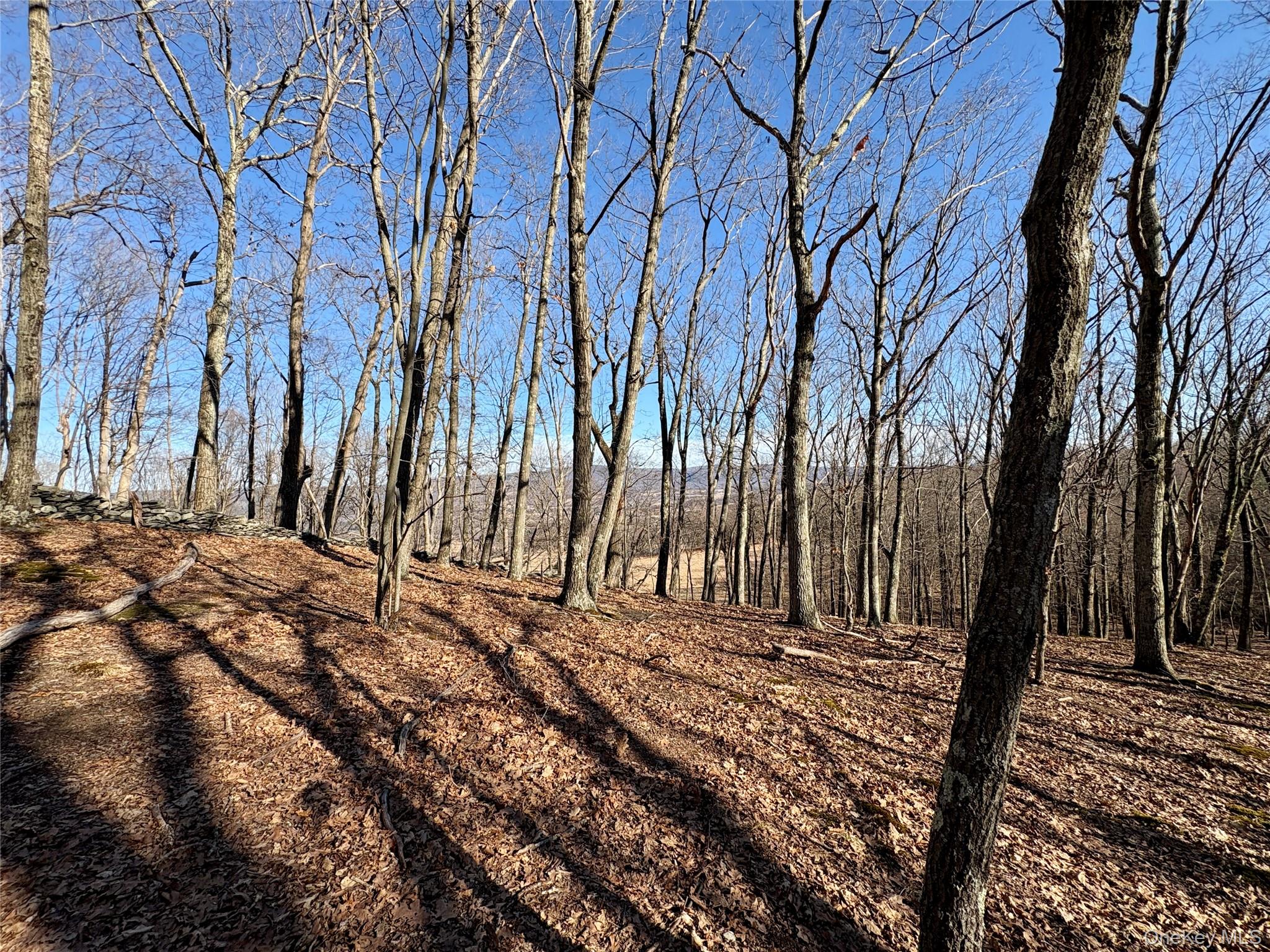 00 Route 7, Copake, NY 12516