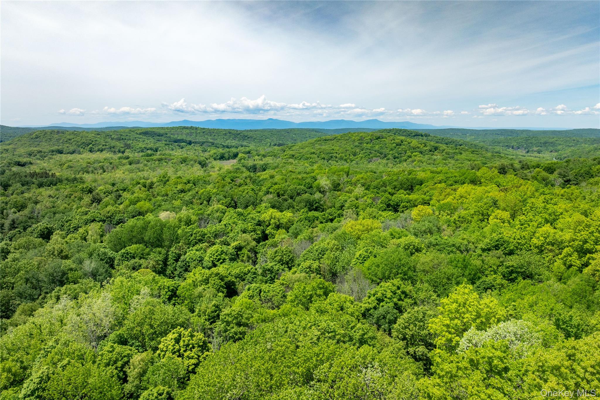 00 Route 7, Copake, NY 12516