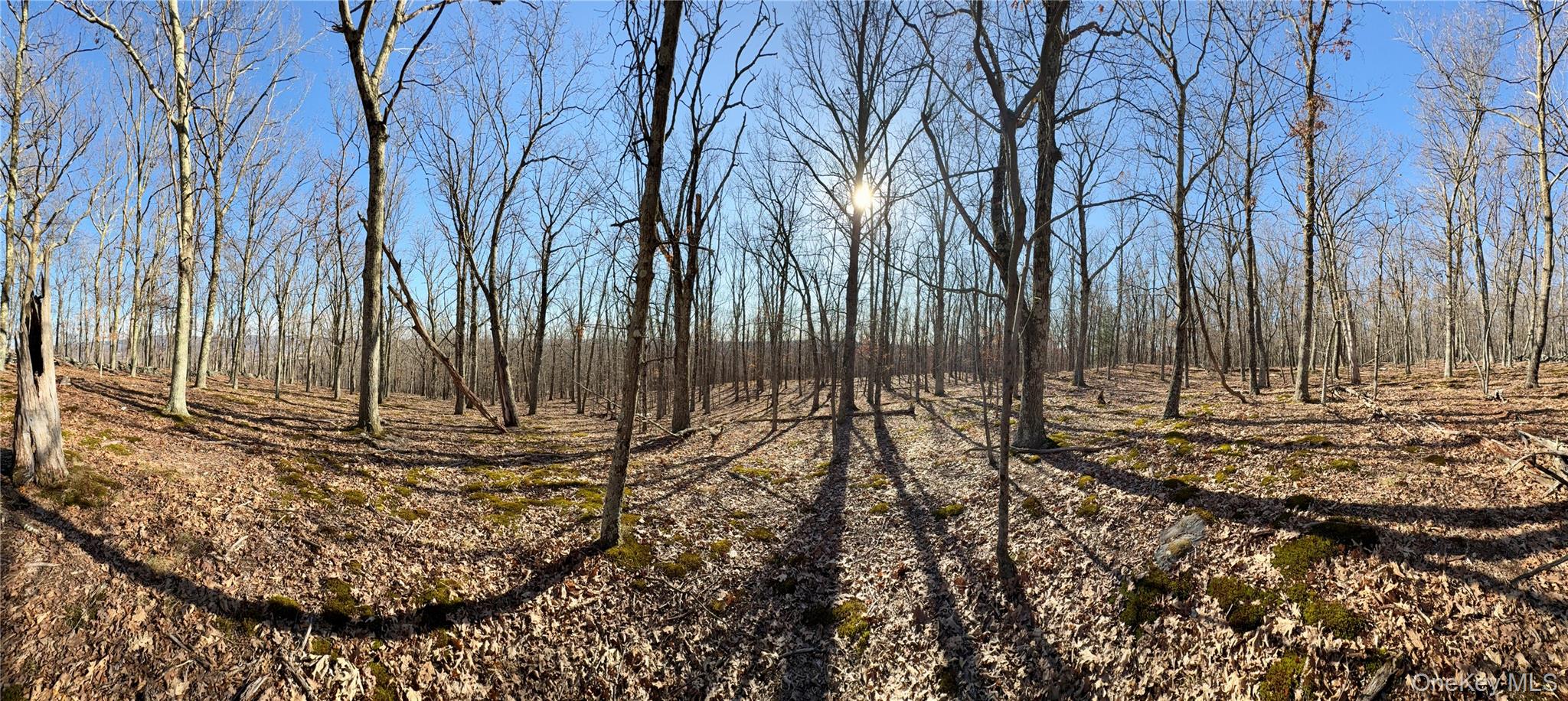 00 Route 7, Copake, NY 12516