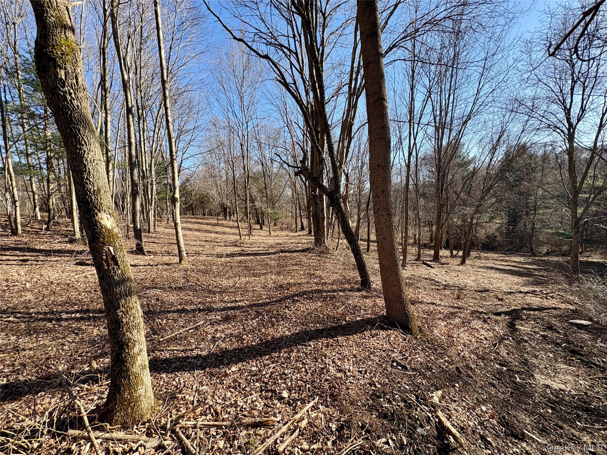 00 Route 7, Copake, NY 12516