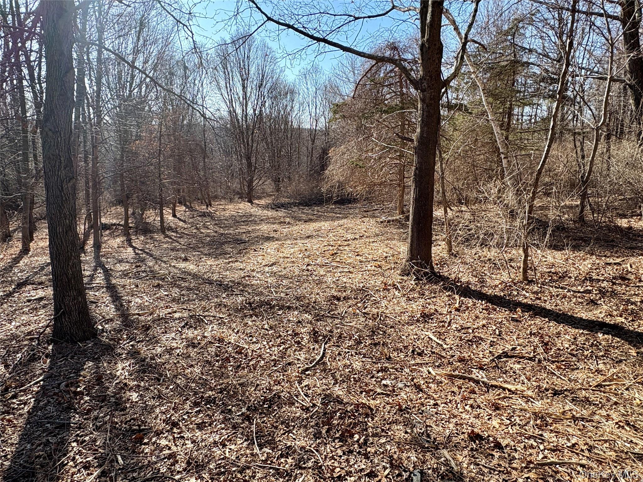 00 Route 7, Copake, NY 12516